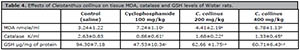 Table 4