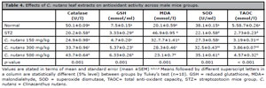 Table 4
