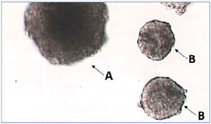 Figure F3