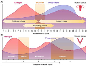 Figure F1