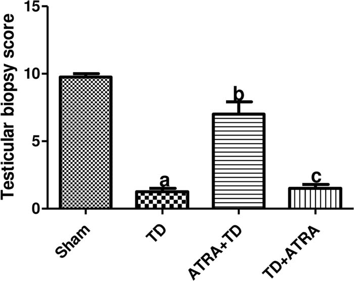 Figure 22